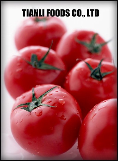canned /tinned tomato paste