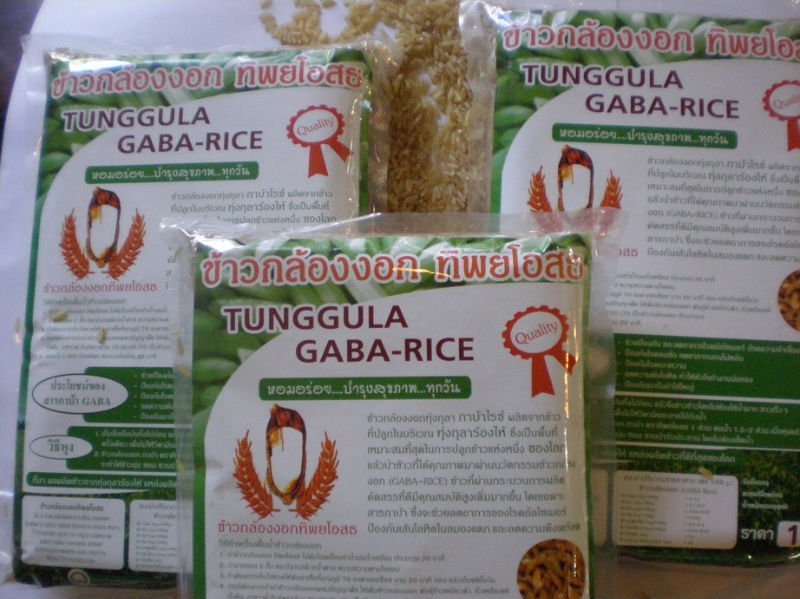 Tunggula  Gaba   Rice 