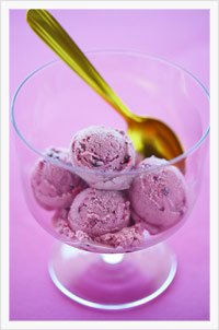 Gelato  :    Ice Cream Vs Gelato