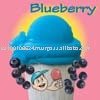 Little Jimmy Italian Ice Blueberry
