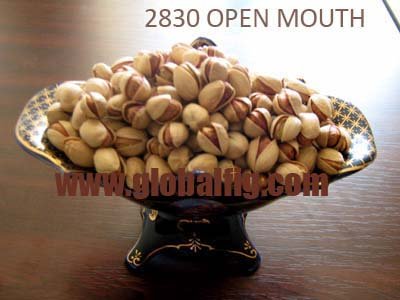 Pistachio - Open Mouth  28-30