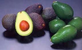 Fresh Avocado