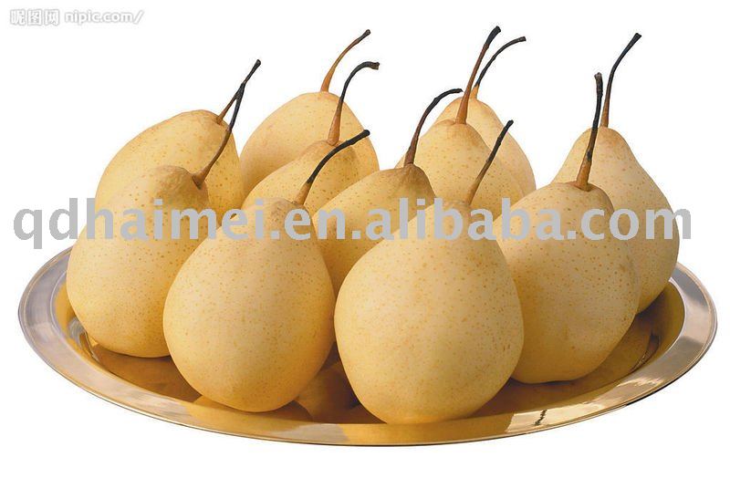 chinese fresh pears
