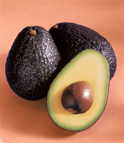 Fresh Avocado,Cameroon price supplier - 21food