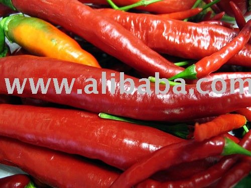 Chilli Paste / Mash in Bucket