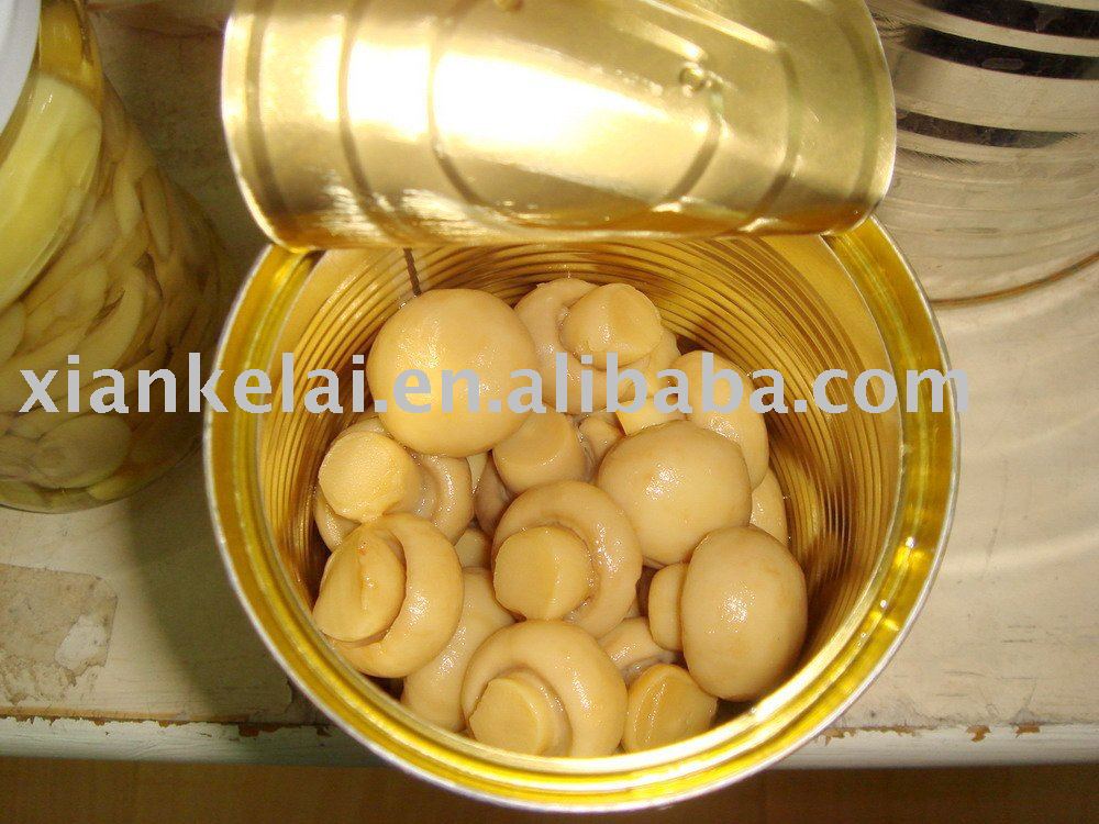 canned button mushroom