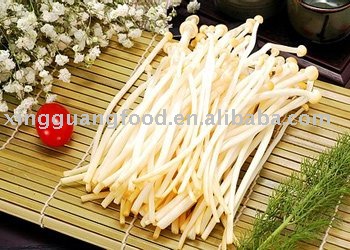 Canned Golden Mushroom