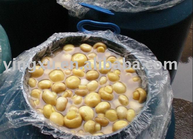 Brine Mushroom(salted mushroom,mushroom in brine)