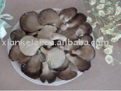 Canned grey oyster mushroom