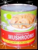 canned mushroom whole