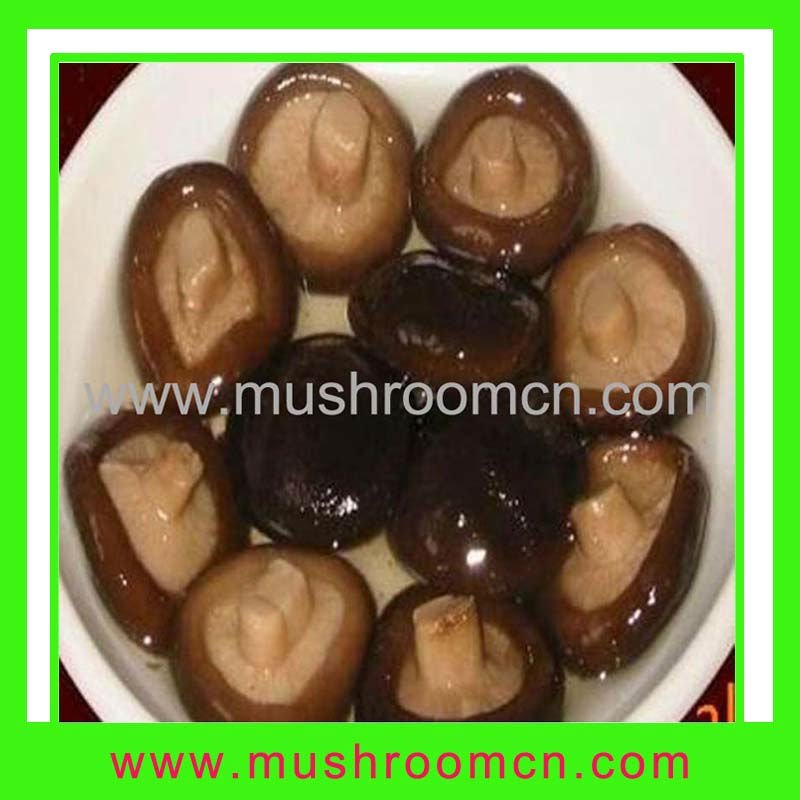 Pickle  shiitake 