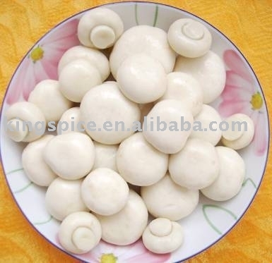 Spore Mushroom