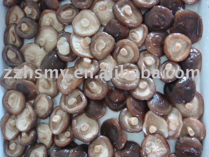 Canned Shiitake Mushroom