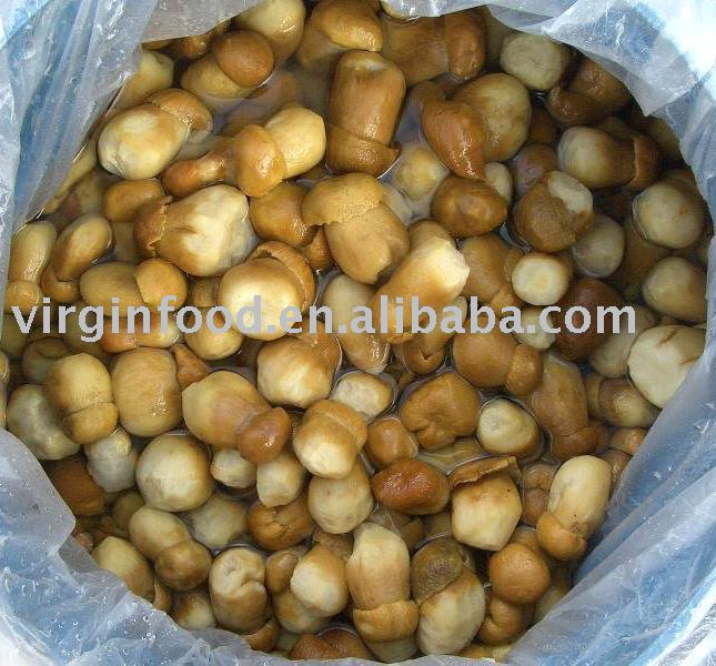 Brined Boletus Fungus