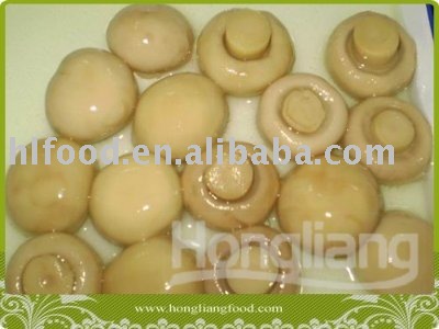 Fresh Canned White Button Mushroom Whole