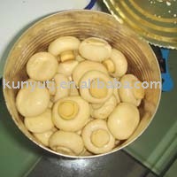 canned mushroom top quality