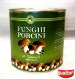 Canned sliced Boletus Edulis mushrooms in natural brine