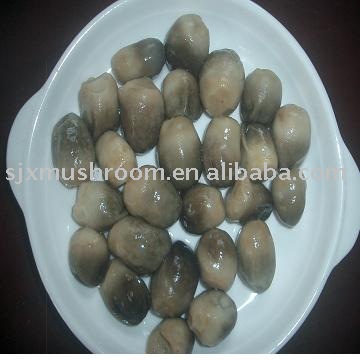 canned paddy straw mushroom