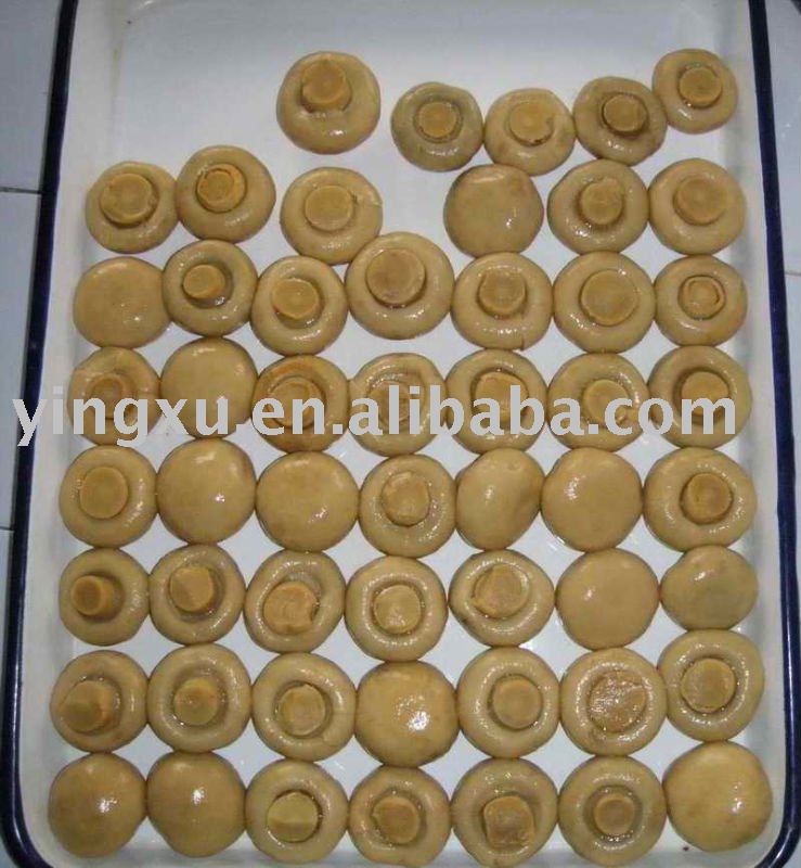 Canned mushroom(Whole, P&S)