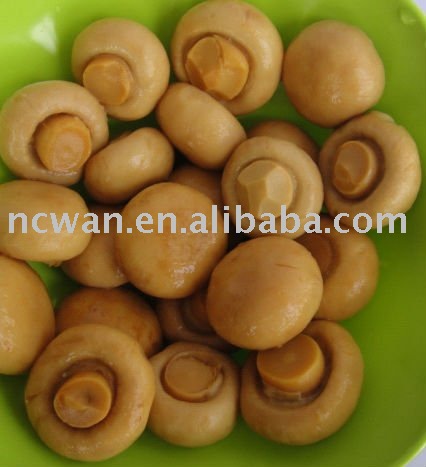 Canned Mushroom 2840g whole