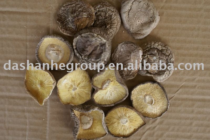 Dried Shiitake Mushroom