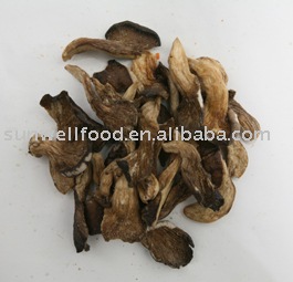 Sell Vaccum Fried Oyster Mushroom Chips