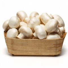 Frozen Mushroom