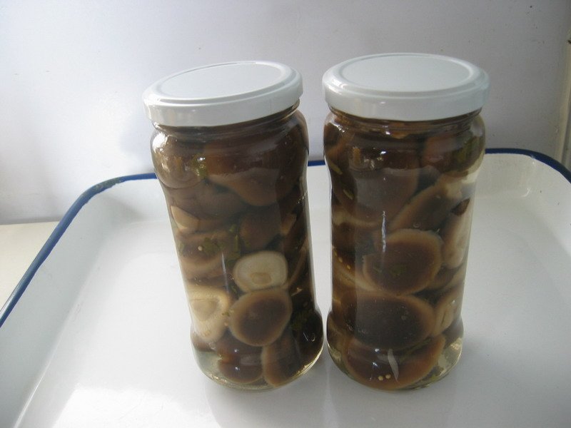 Canned shiitake marinated