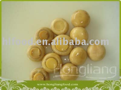 Good Taste Brined Champignon Button Mushroom in Can