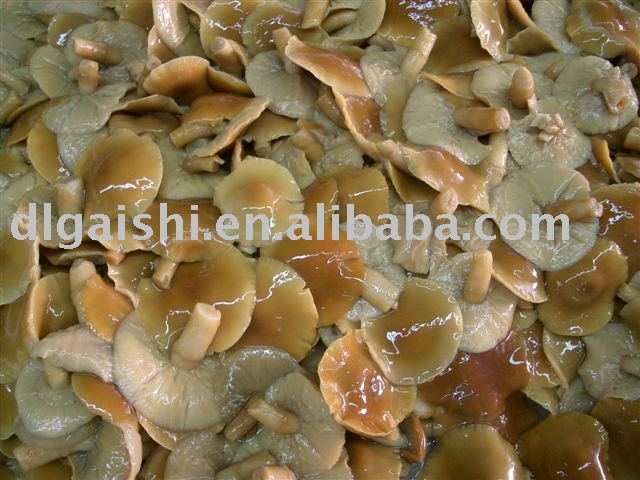 brined mushroom