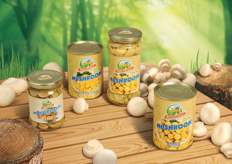 Canned Mushroom Piece and Stems/ Sliced /Whole in Brined  or Vinegar