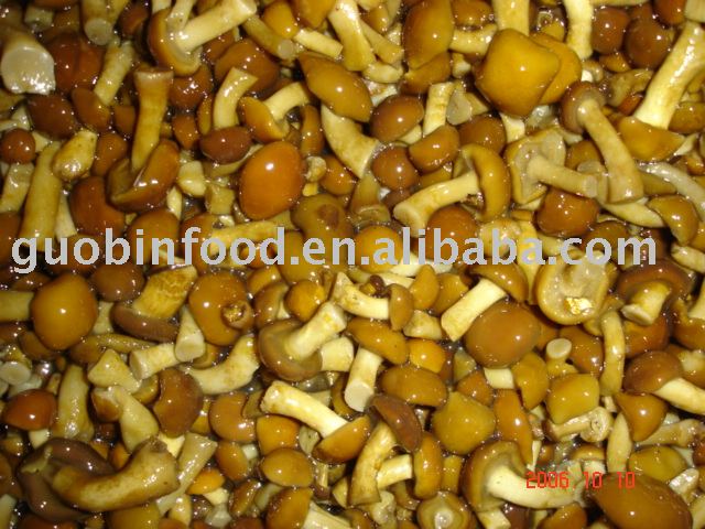 SALTED NAMEKO