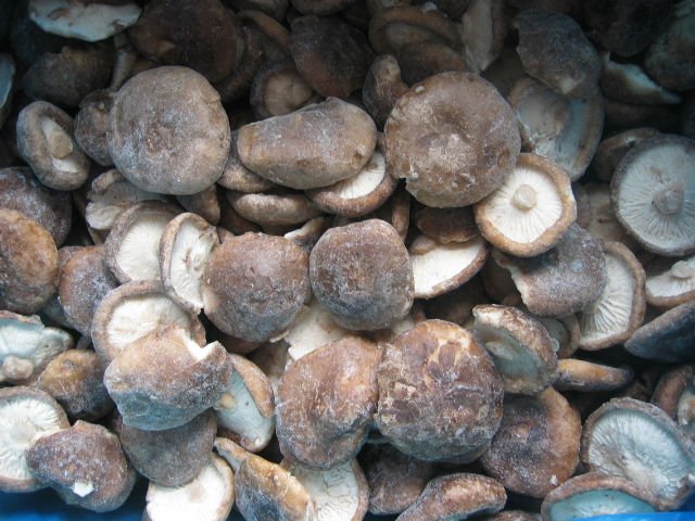 Frozen shiitake