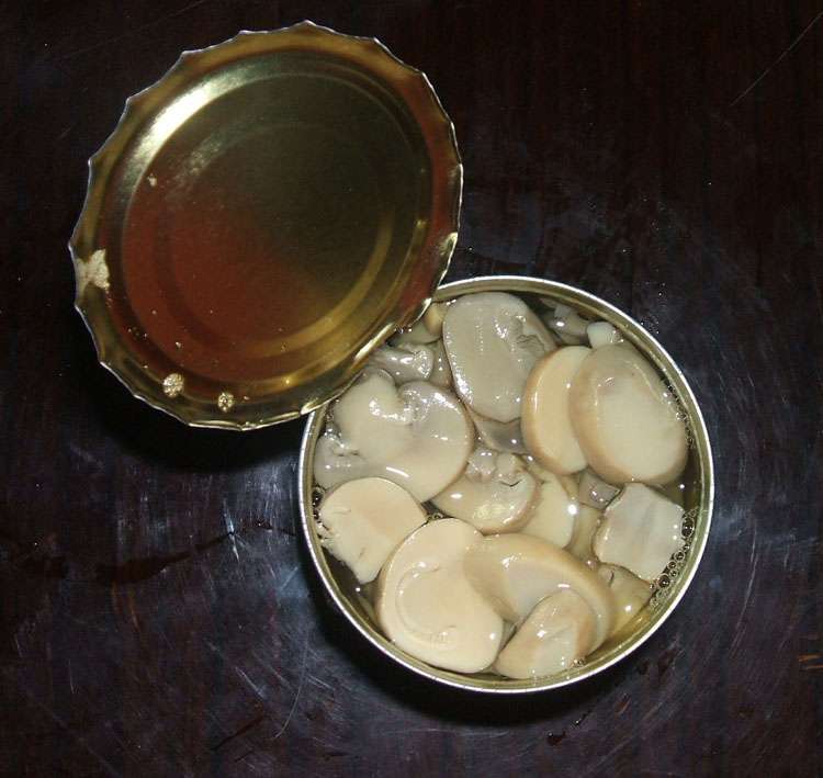 mushroom P&S