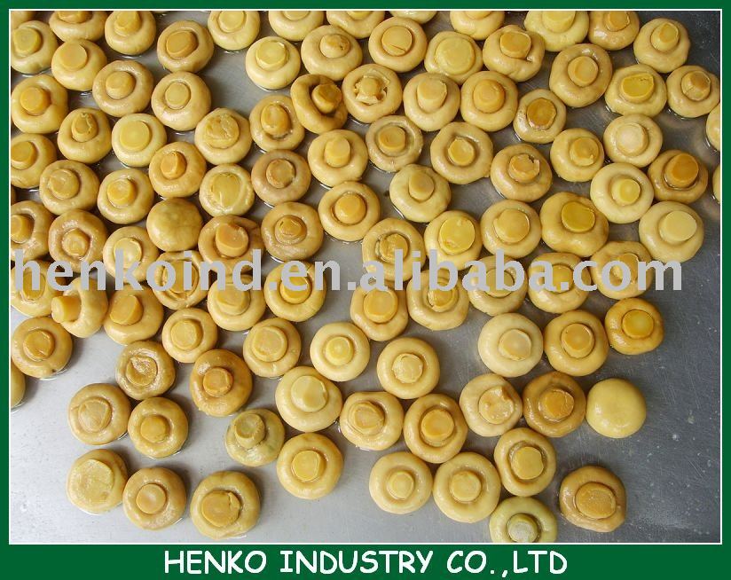 canned whole mushroom,Hong Kong Henko price supplier - 21food