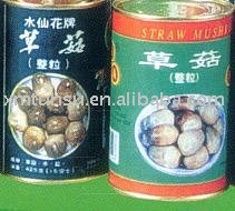 Canned Straw Mushroom
