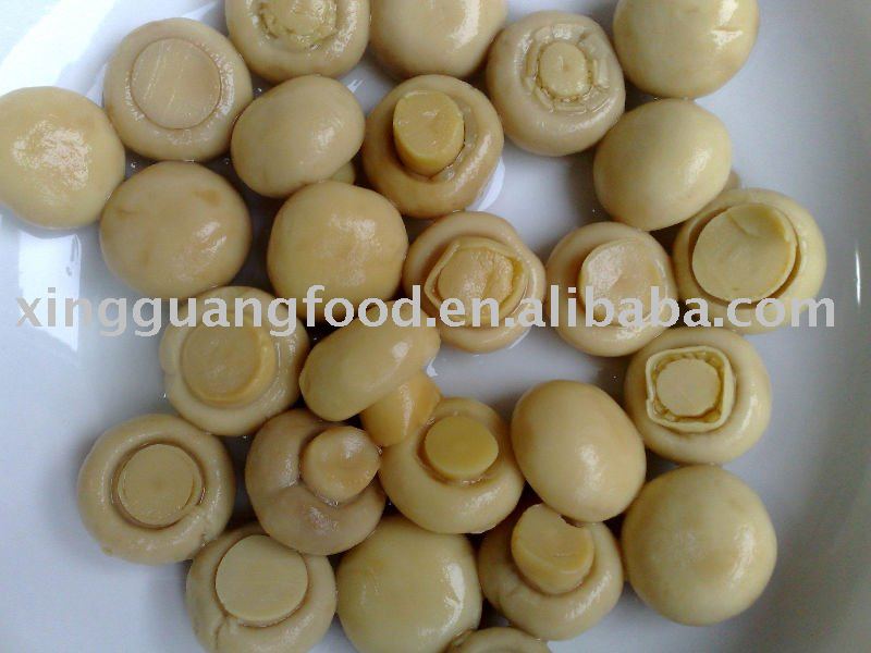 canned mushroom whole