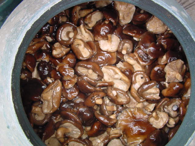  SALTED   SHIITAKE 