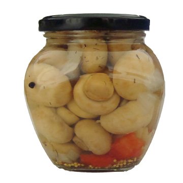 canned  mushroom (canned food/champignons)