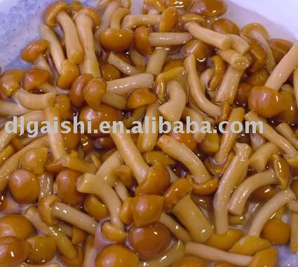 nameko in brine