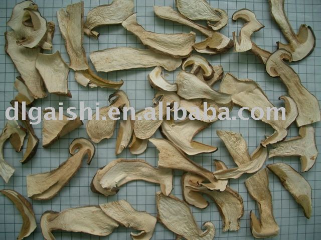 dried boletus edulis mushroom