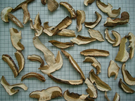  dried   boletus   mushroom s