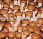 nameko in brine Mushrooms