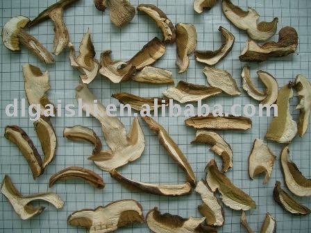dried boletus mushroom