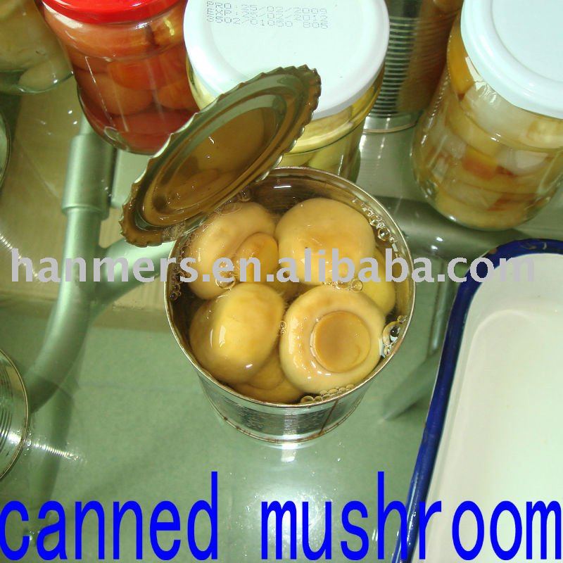canned mushroom slice