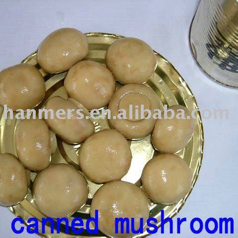 canned whole button mushroom