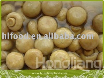 canned champignon mushroom whole 400g