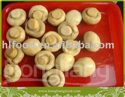Canned champignon mushroom whole 425g