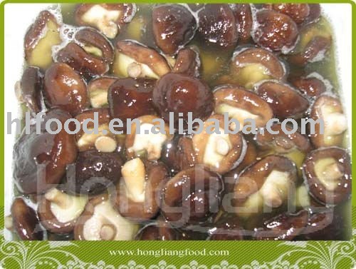 Shiitake in salt in drum