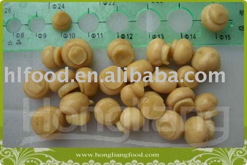fresh slice champignon mushroom in tin